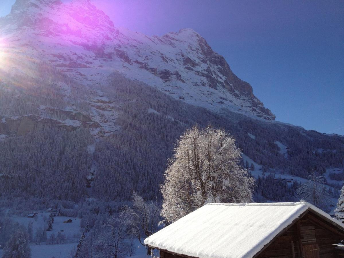 Apartment Chalet Baergsunna-3 By Interhome Grindelwald Esterno foto