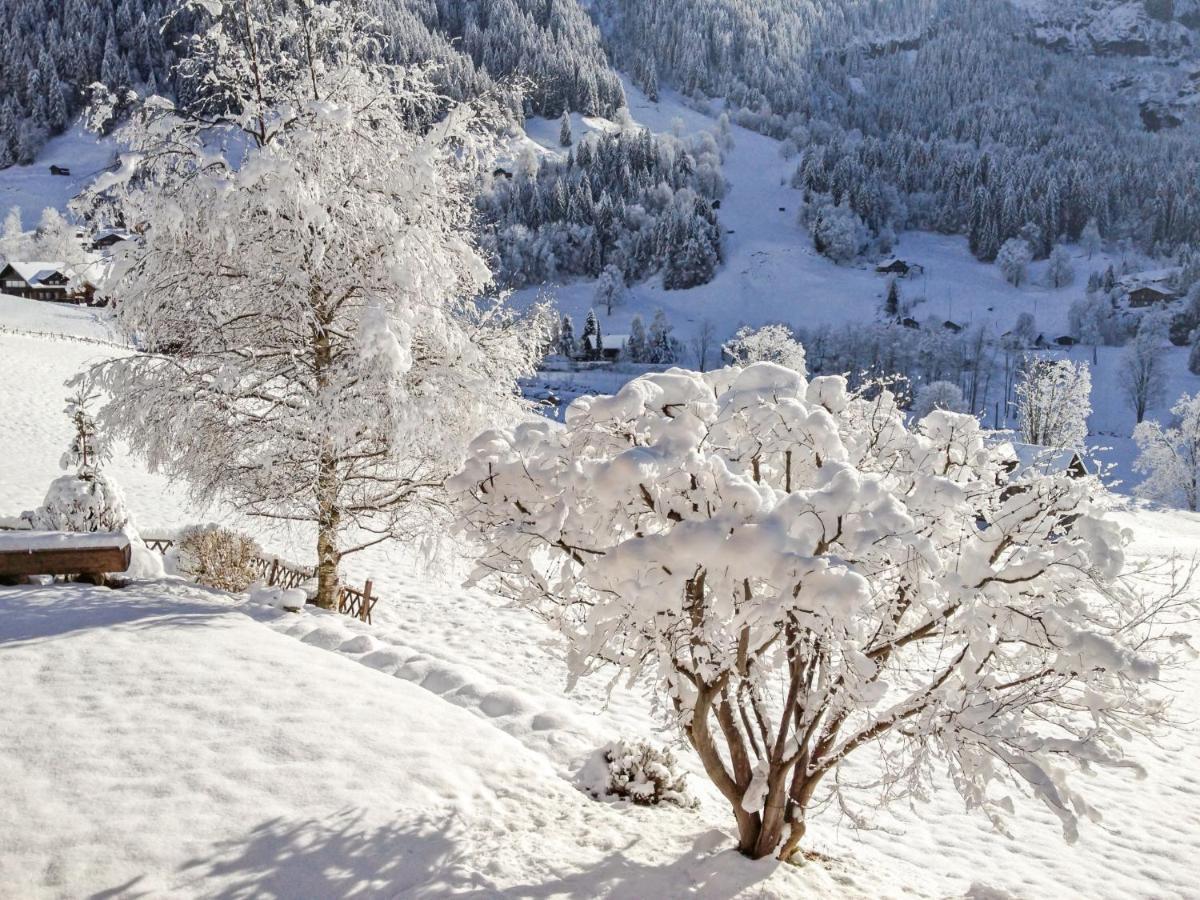 Apartment Chalet Baergsunna-3 By Interhome Grindelwald Esterno foto